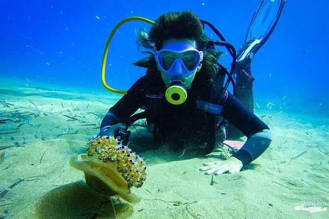 Heraklion: Scuba Diving Experience for First-Timers - What you see in Ligaria Bay