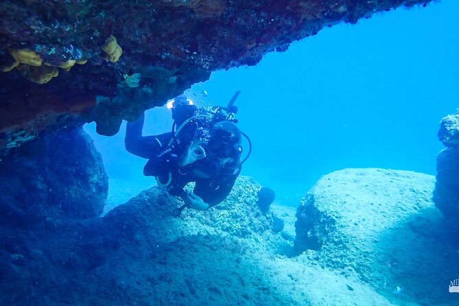 Heraklion: Scuba Diving Experience for First-Timers - Pickup timing deserves careful planning