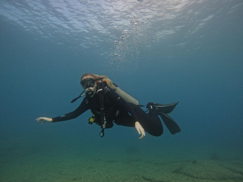 Heraklion: Try Scuba Diving For Beginners (1 dive) - Who will enjoy this experience most