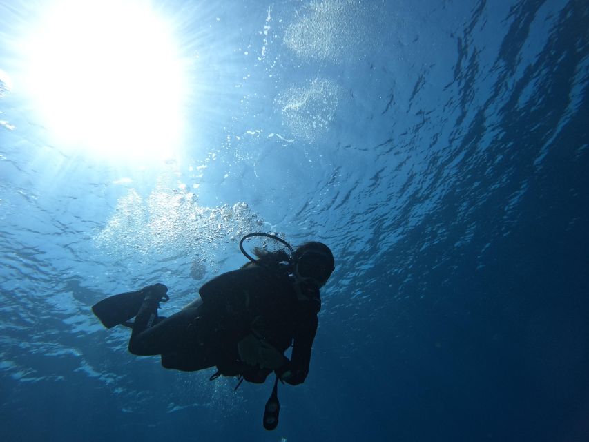 Heraklion: Try Scuba Diving For Beginners (1 dive) - Why Mononaftis Beach works for beginners