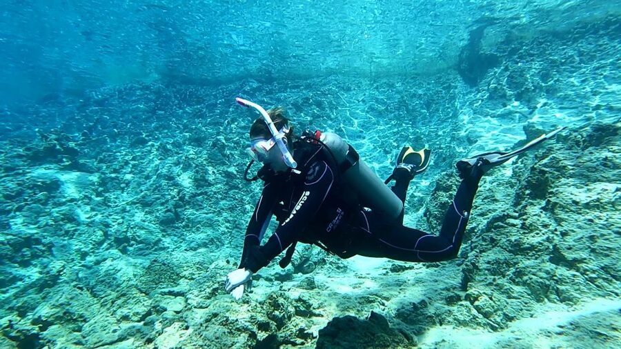 Heraklion: Try Scuba Diving For Beginners (1 dive) - What you may see below the surface