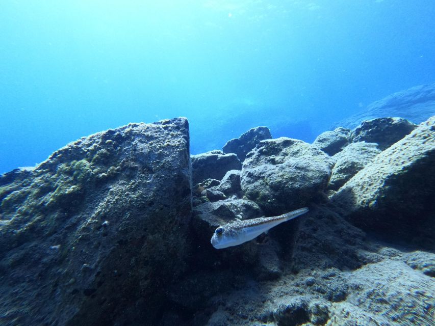 Heraklion: Try Scuba Diving For Beginners (1 dive) - What is included for the $116 price