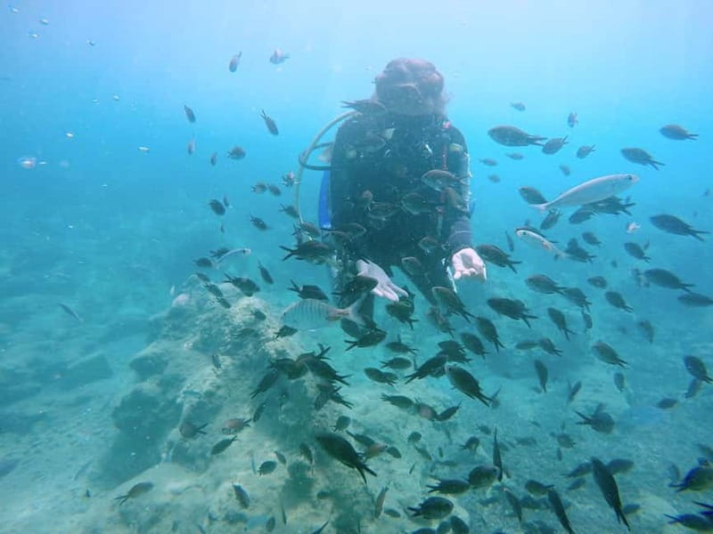 Hersonissos, Stalida: Scuba Diving Experience for beginners - Starting at Nana Golden Beach Resort