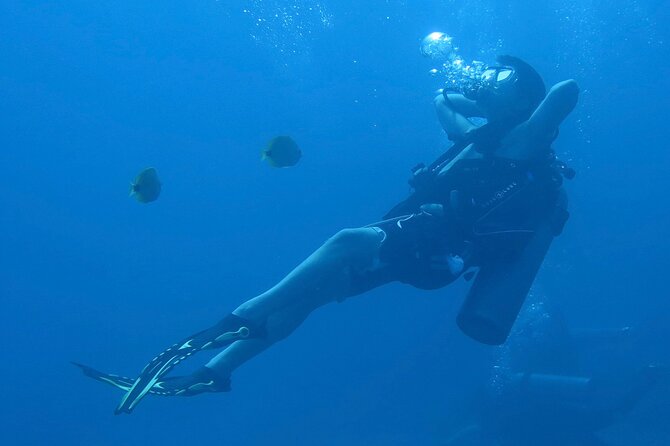 Hilo's Remote Tropical Reef 2 Tank Boat Dive - Marine life, from dolphins to manta rays