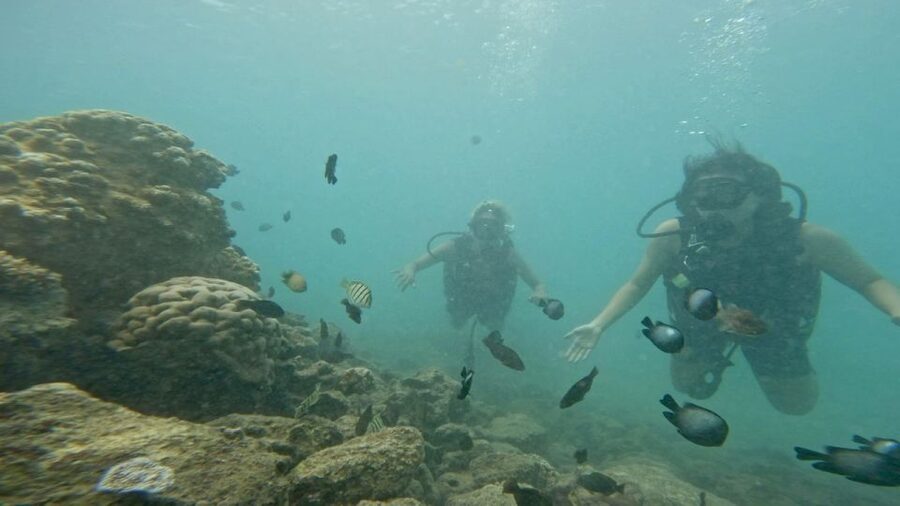 Honolulu: Beginner Scuba Diving Tour With Free Videos - What to bring and how to prepare