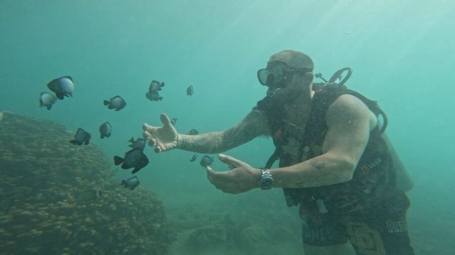 Honolulu: Beginner Scuba Diving Tour With Free Videos - Is this a certification course?