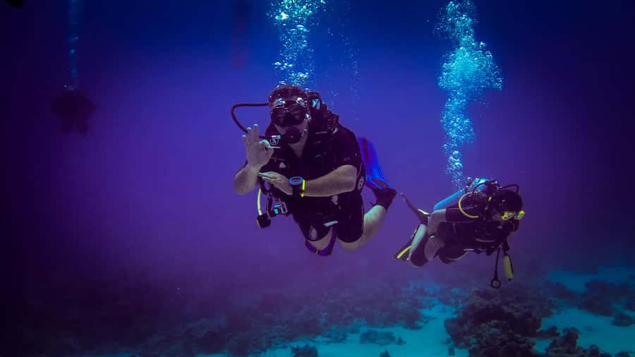 Hurghada: 1, 2, 3, 4, or, 5-Day Scuba Diving Package - Who will get the most from this experience?