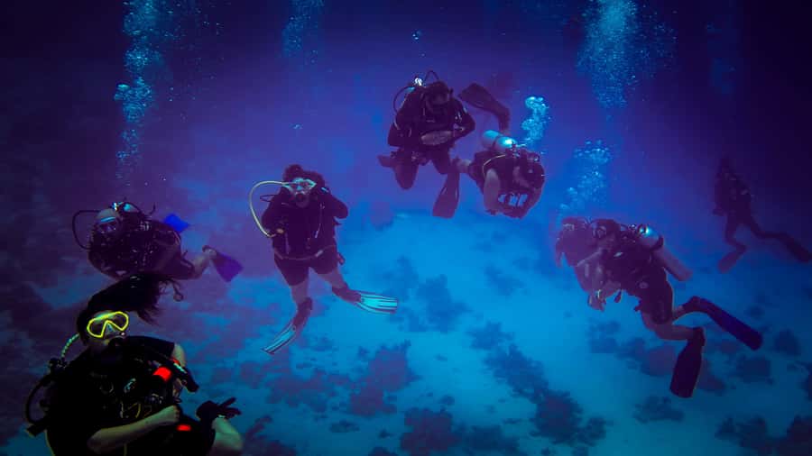 Hurghada: 1, 2, 3, 4, or, 5-Day Scuba Diving Package - Certified packages from one to five days