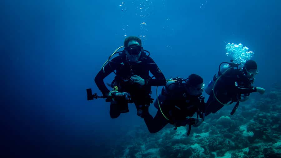 Hurghada: 1, 2, 3, 4, or, 5-Day Scuba Diving Package - Two Red Sea reef sessions, not one rushed swim