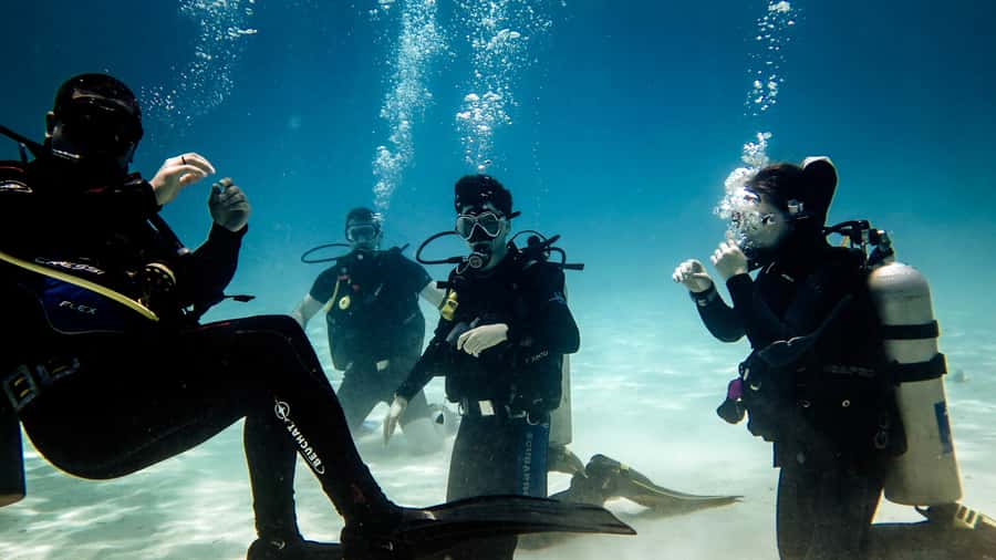 Hurghada: 3-Day PADI Open Water Diving Course - Day two: repetition, buoyancy, and reef awareness