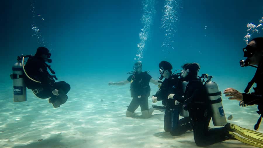 Hurghada: 3-Day PADI Open Water Diving Course - Day one: equipment, theory, and your first underwater skills