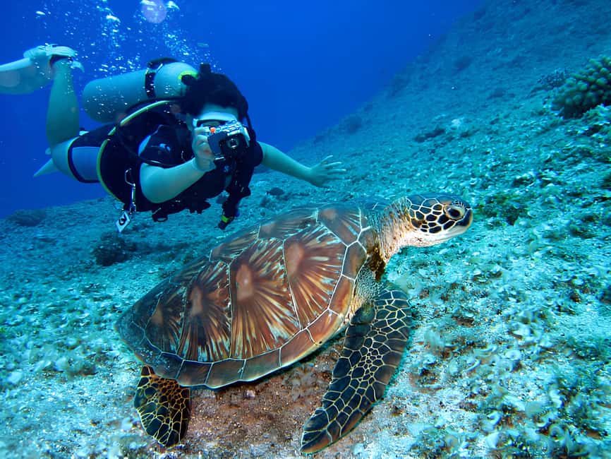 Hurghada: Beginners Scuba Diving Full-Day Boat Trip & Lunch - Snorkeling stops for a slower look