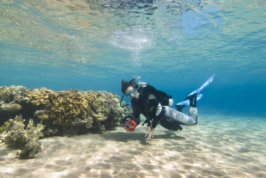 Hurghada: Beginners Scuba Diving Full-Day Boat Trip & Lunch - Lunch, drinks, and time on the boat