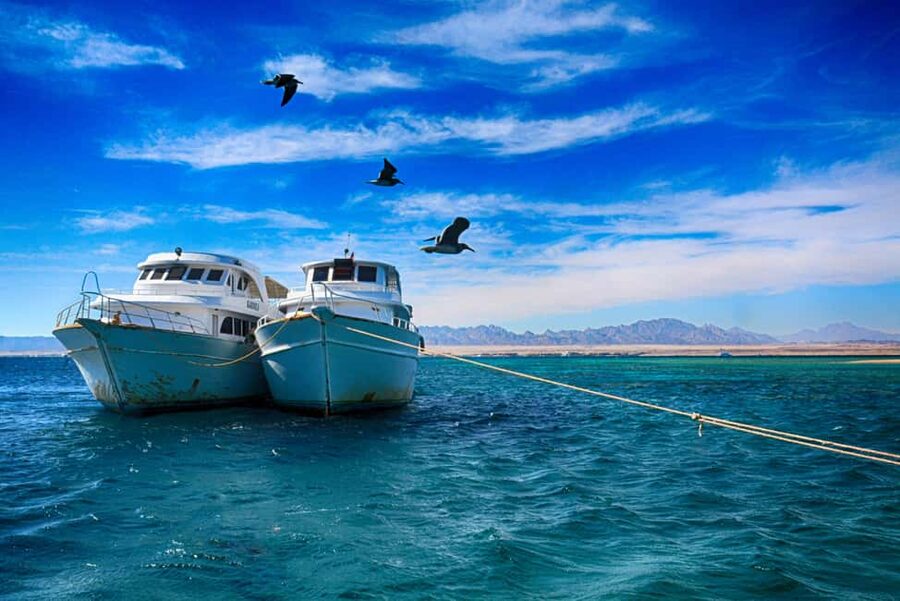 Hurghada: Beginners Scuba Diving Full-Day Boat Trip & Lunch - What the $30 price really includes