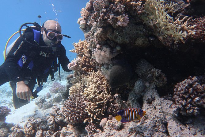 Hurghada Daily Scuba Dive Trip - A full morning starts with hotel pickup