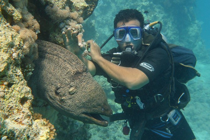 Hurghada Daily Scuba Dive Trip - Lunch, drinks, and the practical comfort level
