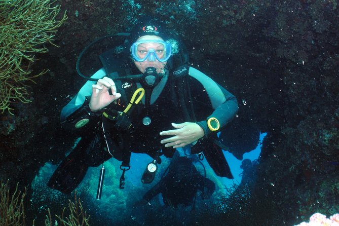 Hurghada Daily Scuba Dive Trip - Equipment, instructors, and safety
