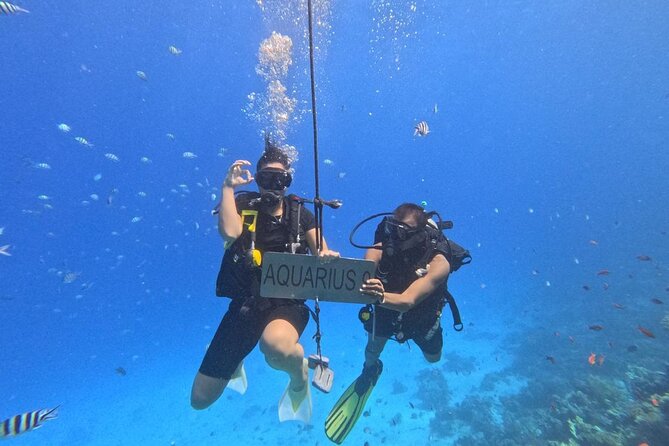 Hurghada Diving Adventure one Day with two Dives Boat Trip - Who Will Get the Most From This Trip