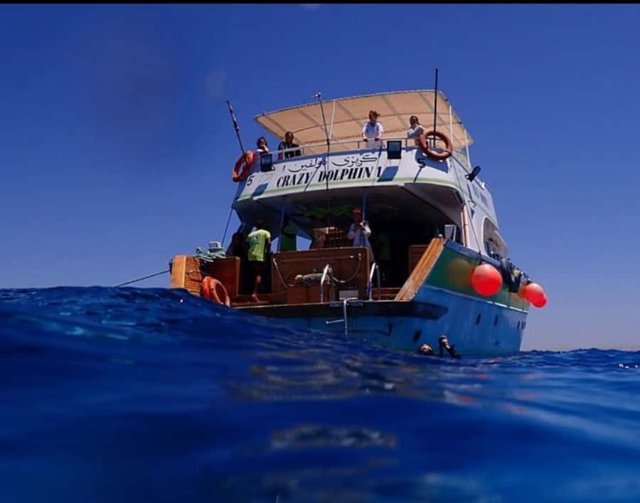 Hurghada: Full-Day Scuba Diving Tour with 2 Sites and Lunch - The Red Sea reefs and marine life