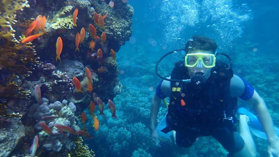 Hurghada: Full-Day Scuba Diving Tour with 2 Sites and Lunch - Certified divers should check the small print