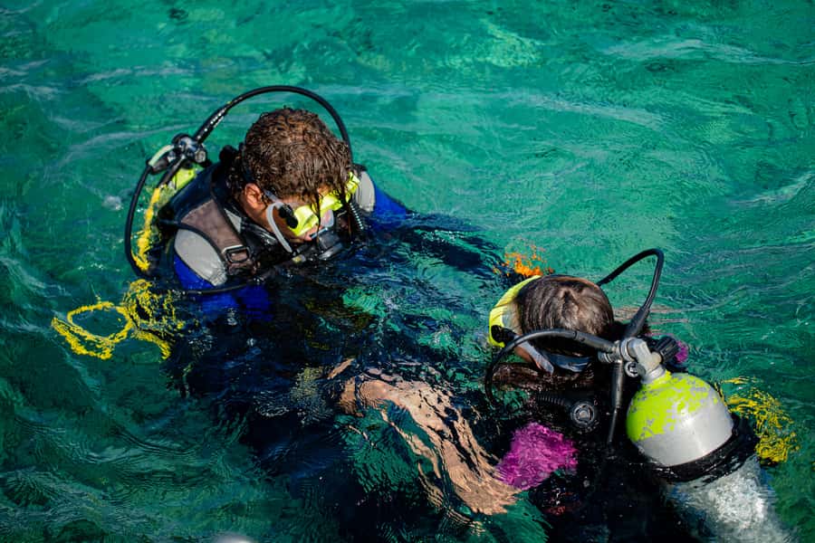 Hurghada: Full-Day Scuba Diving Tour with 2 Sites and Lunch - Families, private groups, and who should choose this