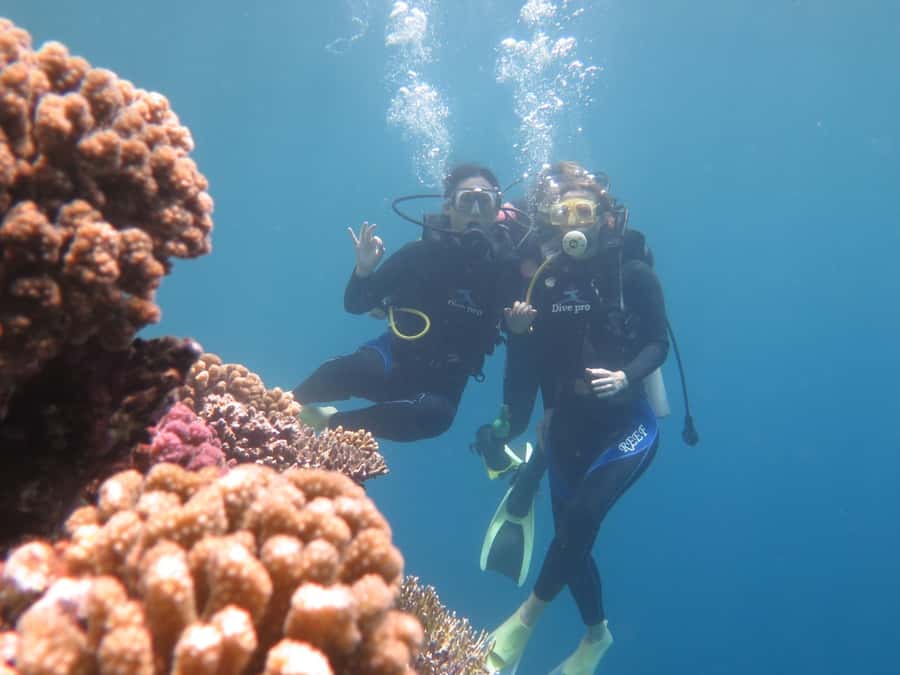 Hurghada: Full-Day Scuba Diving Tour with 2 Sites and Lunch - Morning pickup and the trip to the boat