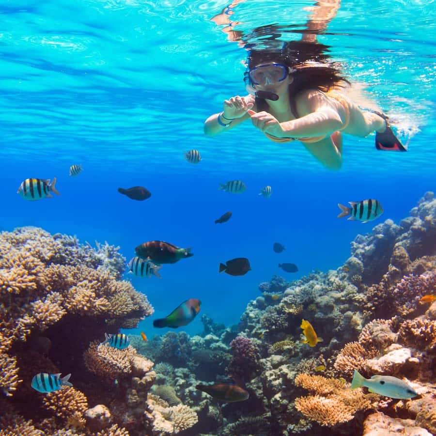 Hurghada:Luxury Diving & Snorkeling inc/Island/Lunch/Massage - Key points to know before booking