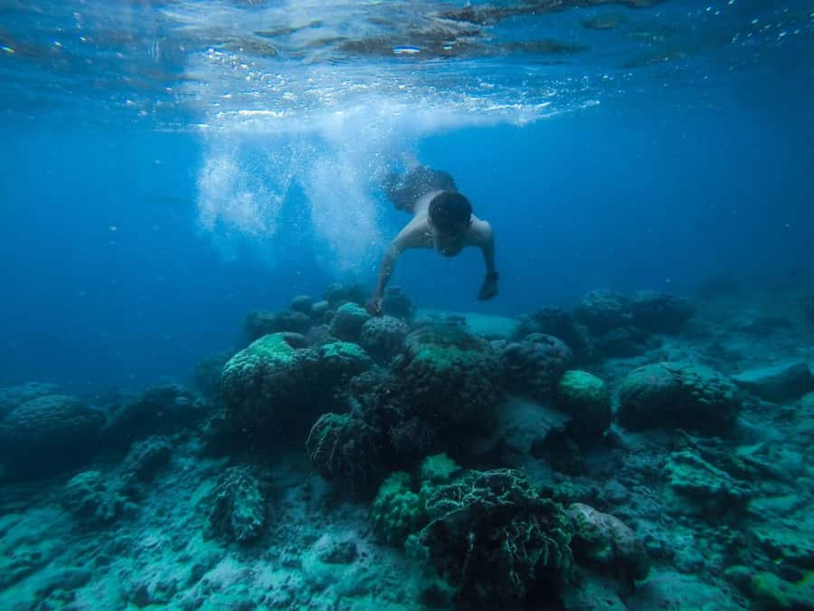 Hurghada:Luxury Diving & Snorkeling inc/Island/Lunch/Massage - Hotel pickup and the start of the boat day