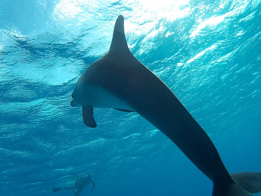 Hurghada: Luxury Orange Bay w/Snorkeling, Massage and Diving - Orange Bay, with a head start on the beach
