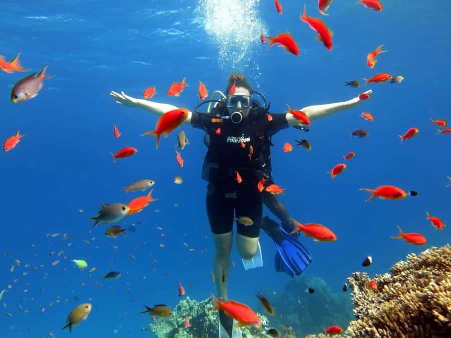 Hurghada: Orange Bay Snorkeling cruise and optional diving - Optional scuba activity and what to check