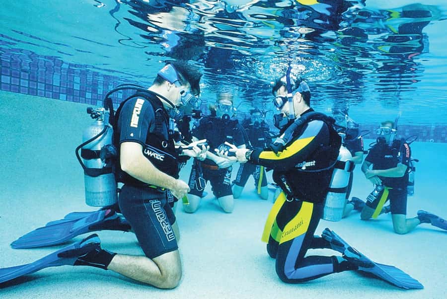 Hurghada: PADI Diving Courses packages - Sailing across the Red Sea