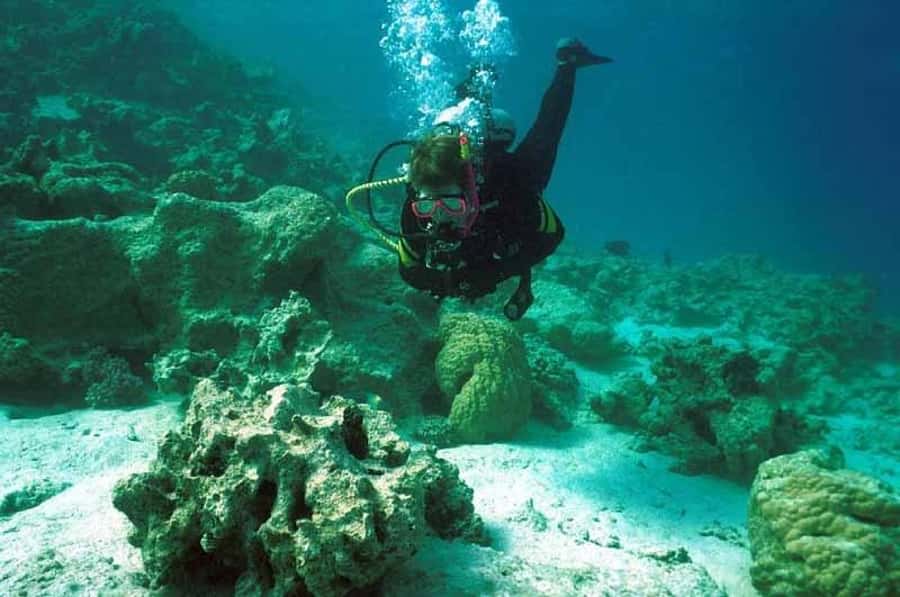 Hurghada, Professionals Diving in Open Water Tour with Lunch - Key points to know before booking