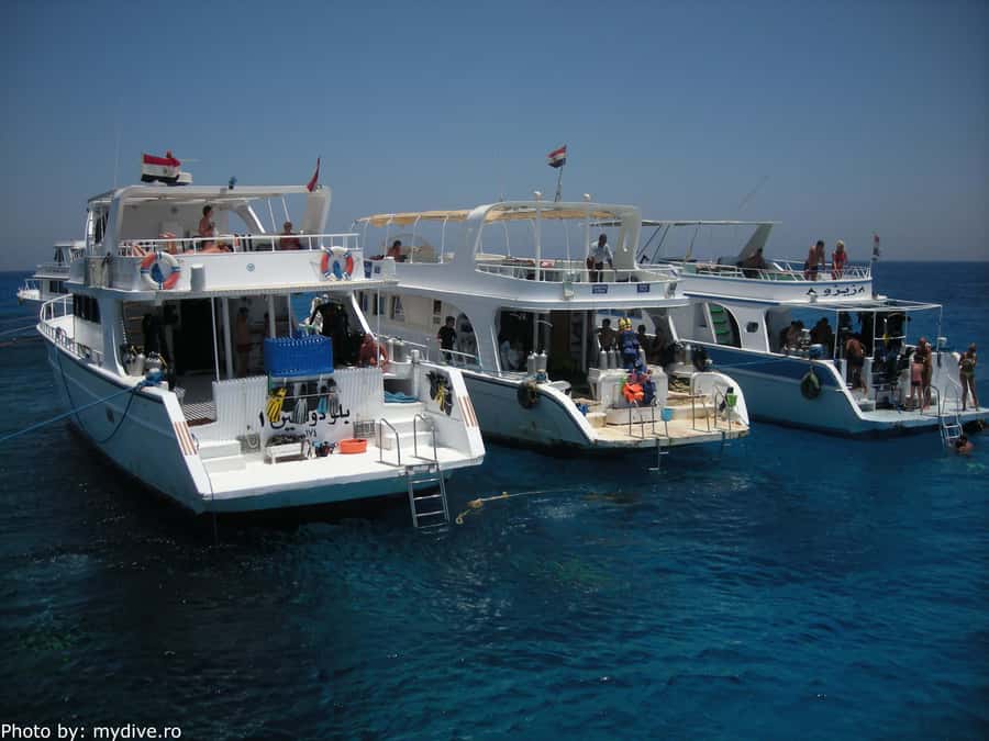Hurghada, Professionals Diving in Open Water Tour with Lunch - Group size, organization, and the main risk