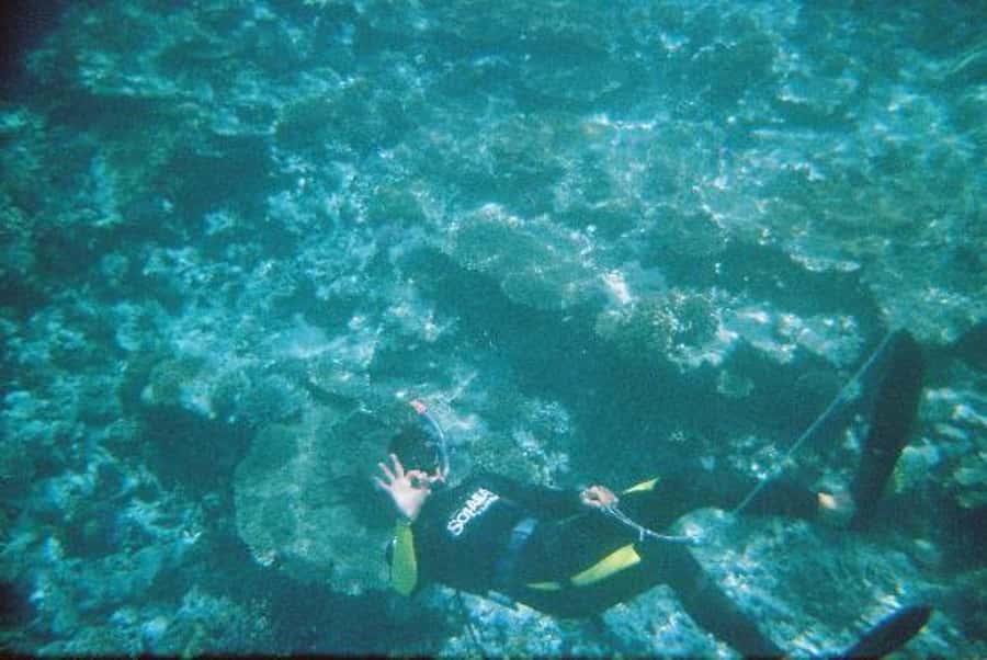 Hurghada, Professionals Diving in Open Water Tour with Lunch - Hotel pickup and the 40-minute ride to sea