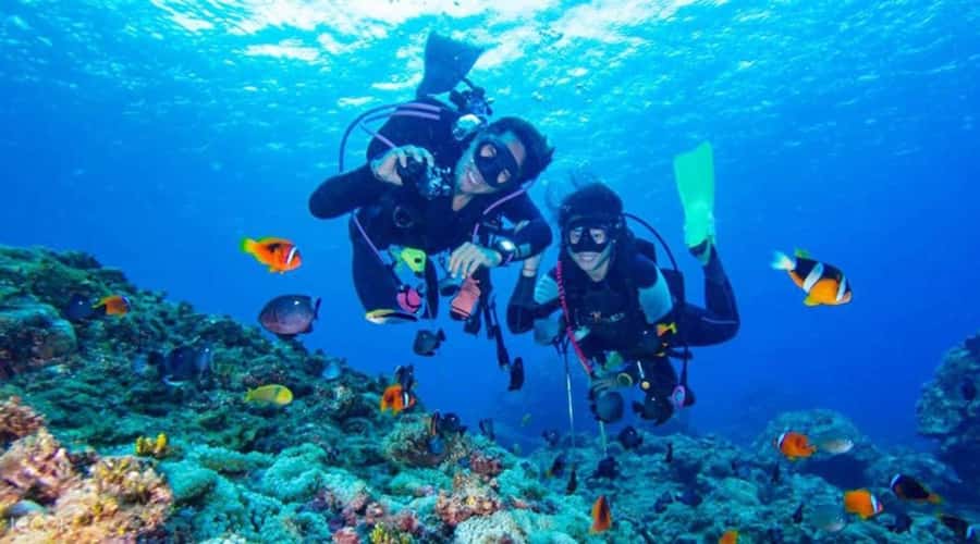 Hurghada: Scuba Diving cruise with lunch & pickup - From your Hurghada hotel to the marina