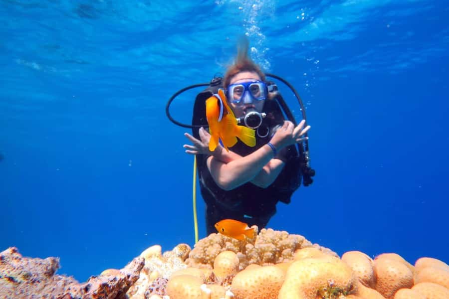 Hurghada: Scuba Diving cruise with lunch & pickup - What the first underwater session feels like