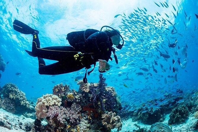 Hurghada Scuba Diving Full Day Boat Trip for beginners With Lunch & Transfer - Key points to know before booking