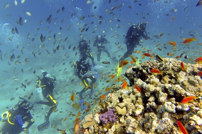 Hurghada Scuba Diving Full Day Boat Trip for beginners With Lunch & Transfer - Getting ready for your first underwater session