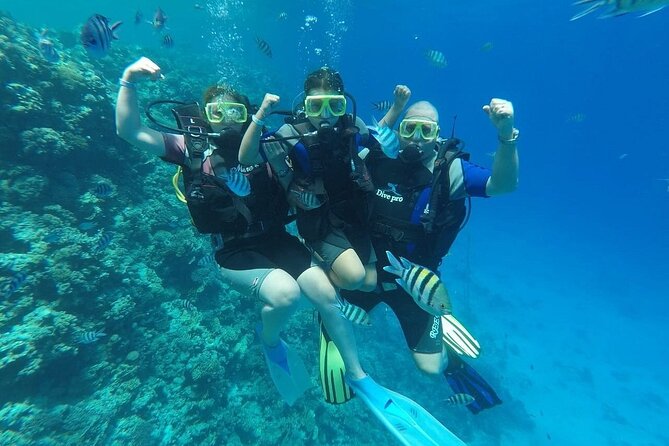 Hurghada Scuba Diving Full Day Boat Trip for beginners With Lunch & Transfer - What non-scuba companions can do