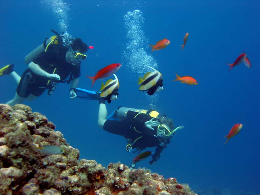 Hurghada Scuba Diving Trip with Pick-up, Lunch - Key Points Before You Book