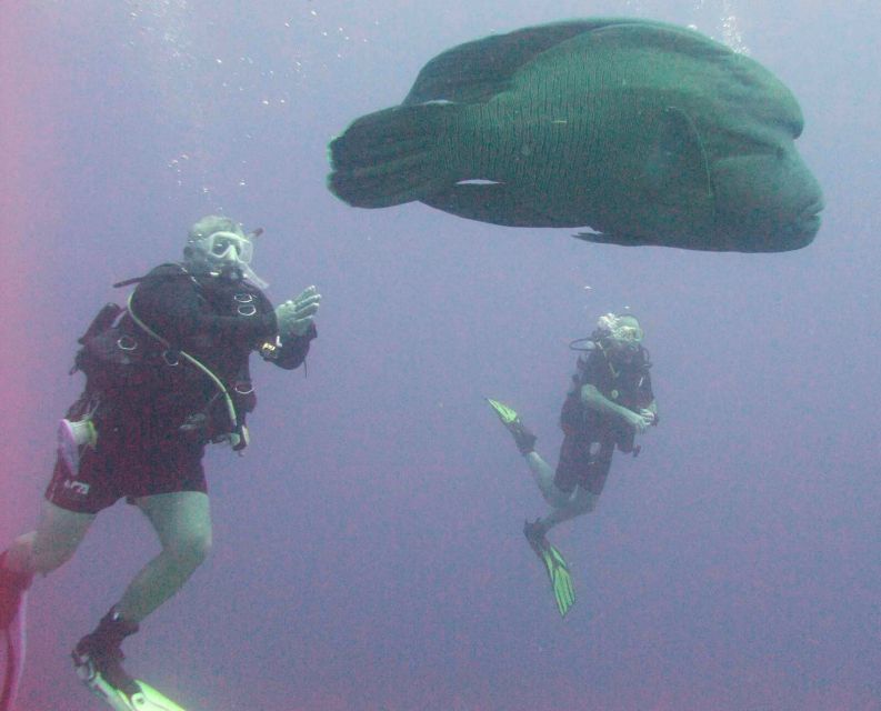 Hurghada Scuba Diving Trip with Pick-up, Lunch - The First 25-Minute Red Sea Session