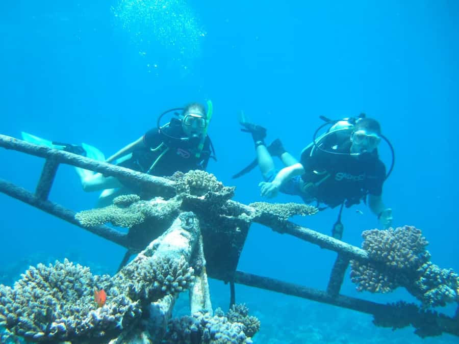 Hurghada Scuba Diving Trip with Pick-up, Lunch - Lunch, Cold Drinks, and a Break in the Sun