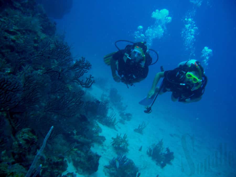 Hurghada Scuba Diving Trip with Pick-up, Lunch - Hotel Pickup and the 30-Minute Ride