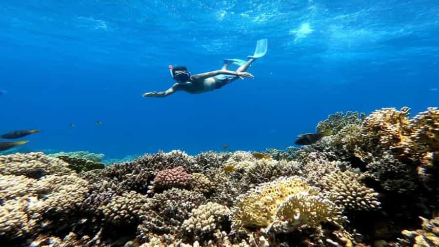 Hurghada: Snorkeling 6 x 1 to Orange Bay w Diving & Massage - Six useful things to know before you go