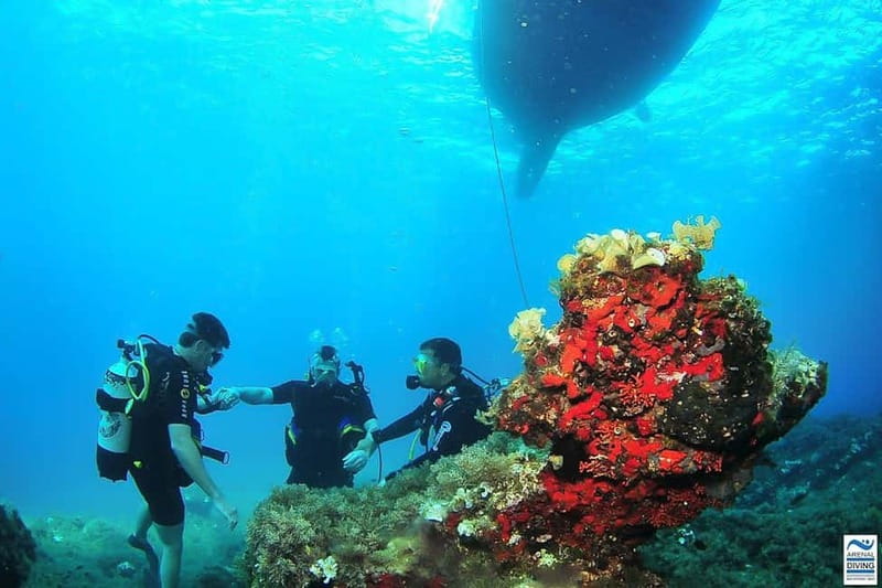 Ibiza: PADI Discover Scuba Diving & Snorkeling Boat Trip - Key points to know before booking