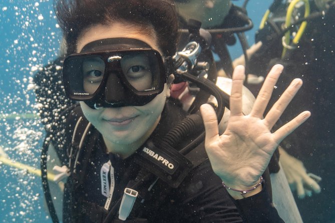Incredibly Fun Coral Reef Giant Sea Turtles 4hour Boat Scuba Tour - What the four-hour schedule is really like