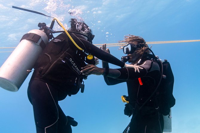 Incredibly Fun Coral Reef Giant Sea Turtles 4hour Boat Scuba Tour - Booking, arrival, and cancellation advice