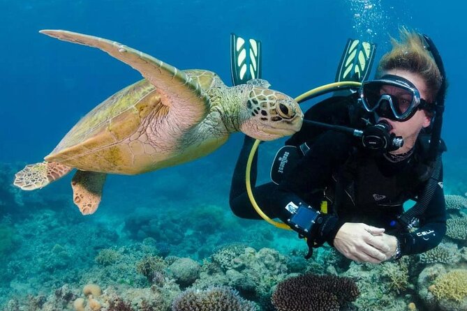 Intro and Professional Scuba Diving Cruise with Lunch in Hurghada - Lunch, drinks, and the long middle of the day
