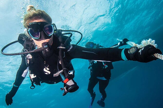 Intro and Professional Scuba Diving Cruise with Lunch in Hurghada - What the $15 price really covers