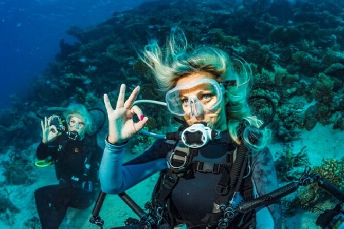 Intro and Professional Scuba Diving Cruise with Lunch in Hurghada - Group size, instruction, and comfort